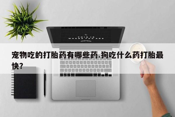 紫竹药业打胎药网购宠物吃的打胎药有哪些药.狗吃什么药打胎最快？
