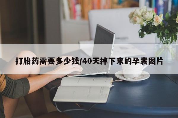 紫竹药业打胎药网购打胎药需要多少钱/40天掉下来的孕囊图片