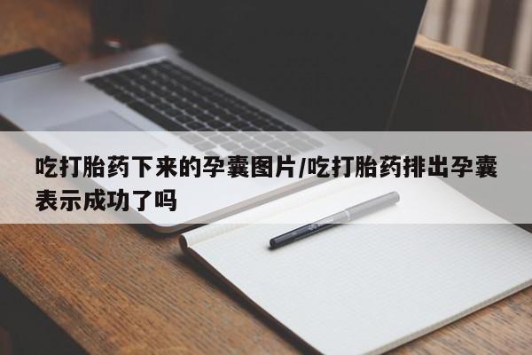 紫竹药业打胎药网购吃打胎药下来的孕囊图片/吃打胎药排出孕囊表示成功了吗